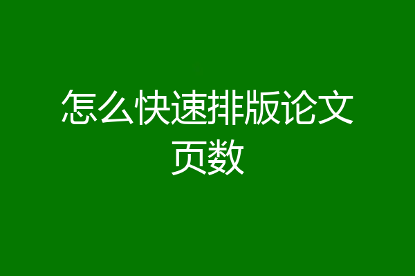 怎么快速排版论文页数