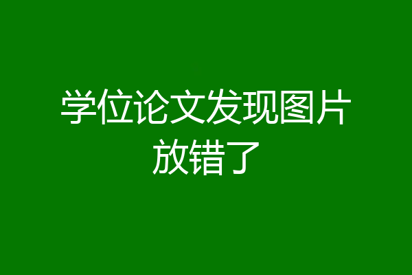 学位论文发现图片放错了