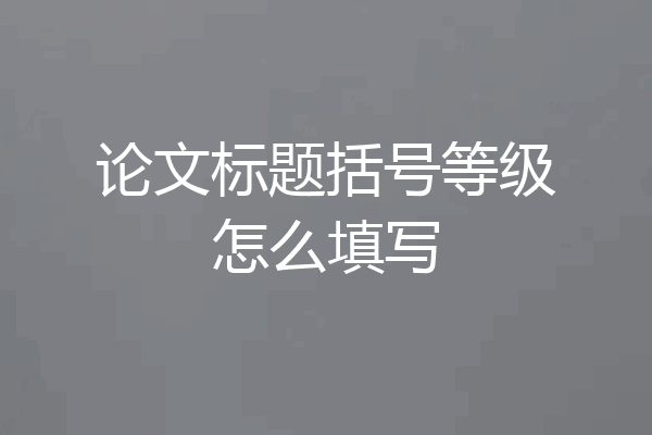 论文标题括号等级怎么填写