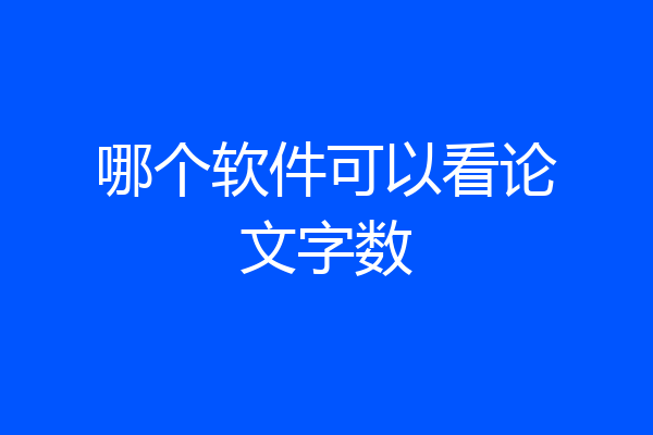 哪个软件可以看论文字数