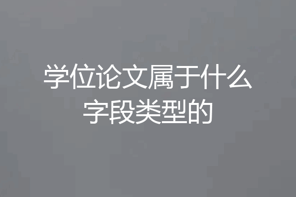 学位论文属于什么字段类型的
