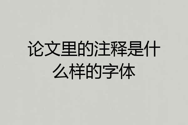 论文里的注释是什么样的字体