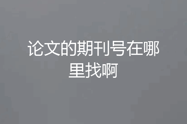 论文的期刊号在哪里找啊