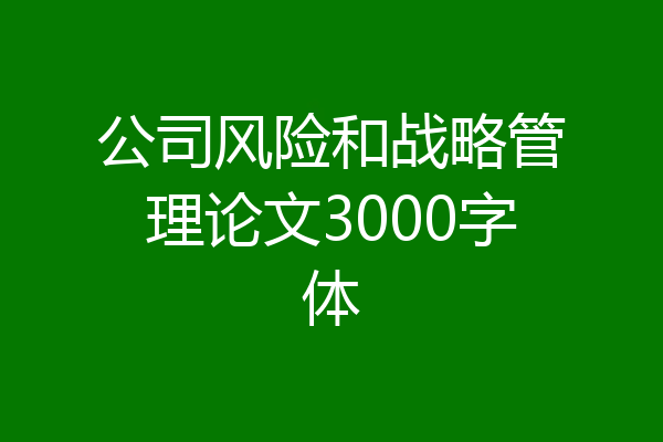 公司风险和战略管理论文3000字体