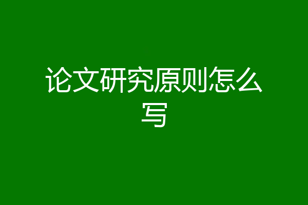 论文研究原则怎么写