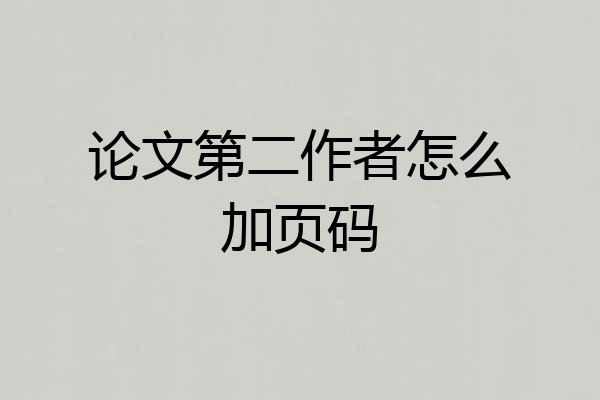 论文第二作者怎么加页码
