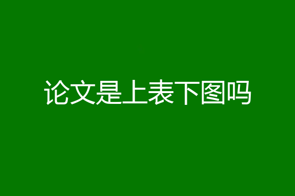 论文是上表下图吗