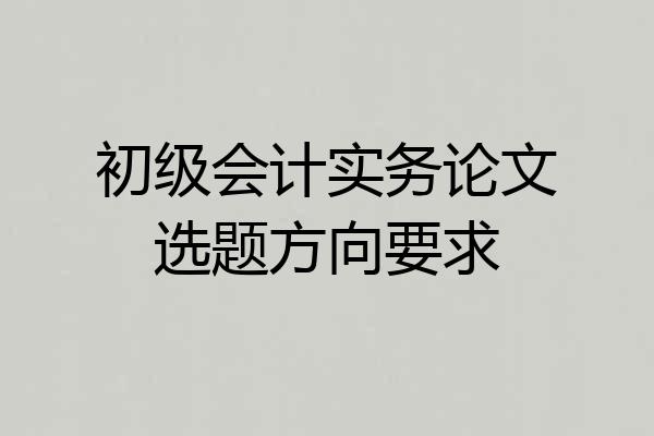 初级会计实务论文选题方向要求