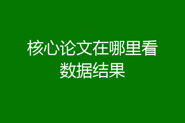 核心论文在哪里看数据结果