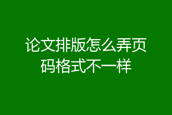 论文排版怎么弄页码格式不一样