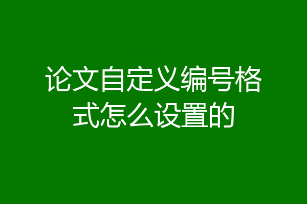 论文自定义编号格式怎么设置的