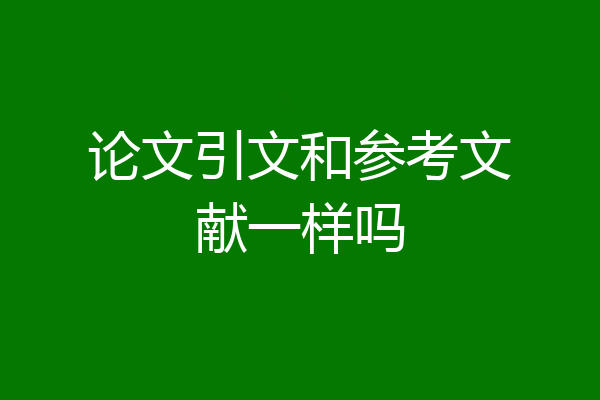 论文引文和参考文献一样吗