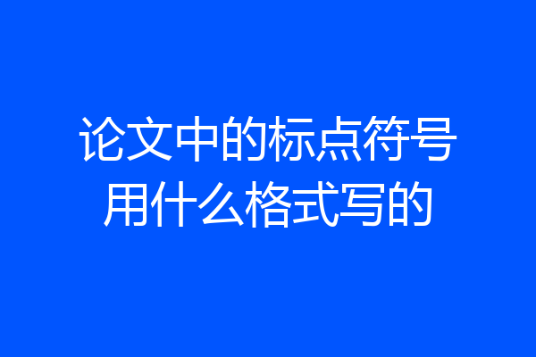 论文中的标点符号用什么格式写的