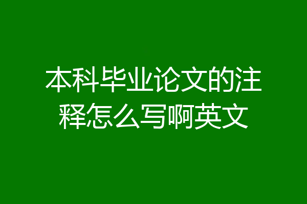 本科毕业论文的注释怎么写啊英文