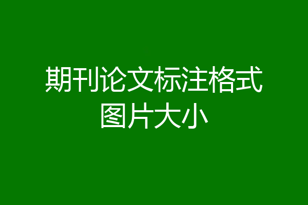 期刊论文标注格式图片大小