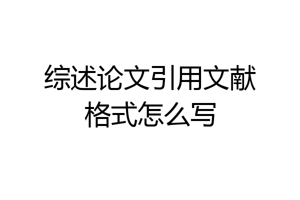综述论文引用文献格式怎么写