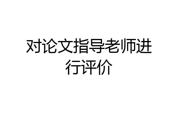 对论文指导老师进行评价