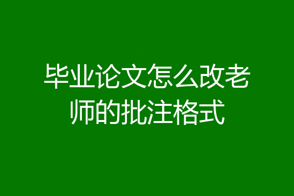 毕业论文怎么改老师的批注格式