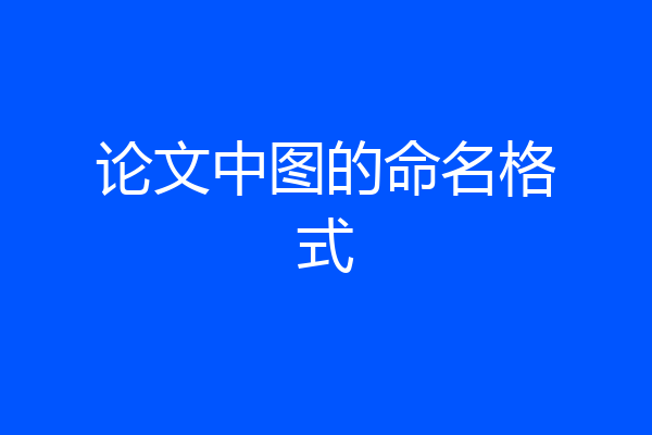 论文中图的命名格式