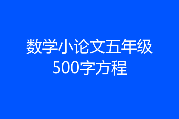 数学小论文五年级500字方程