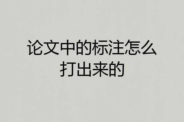 论文中的标注怎么打出来的