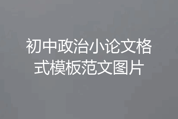初中政治小论文格式模板范文图片