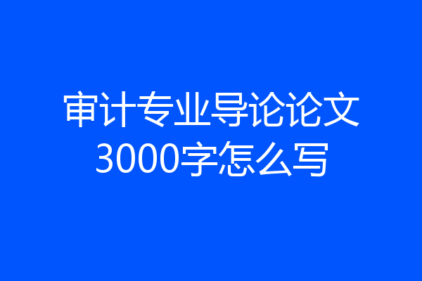 审计专业导论论文3000字怎么写
