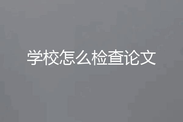 学校怎么检查论文