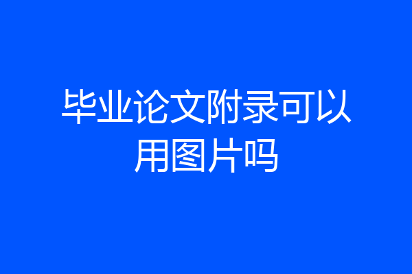 毕业论文附录可以用图片吗