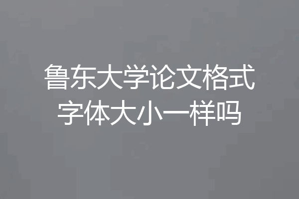 鲁东大学论文格式字体大小一样吗