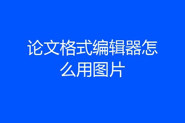 论文格式编辑器怎么用图片
