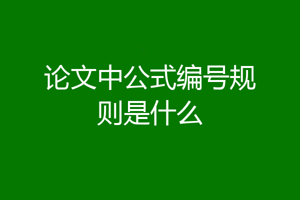 论文中公式编号规则是什么