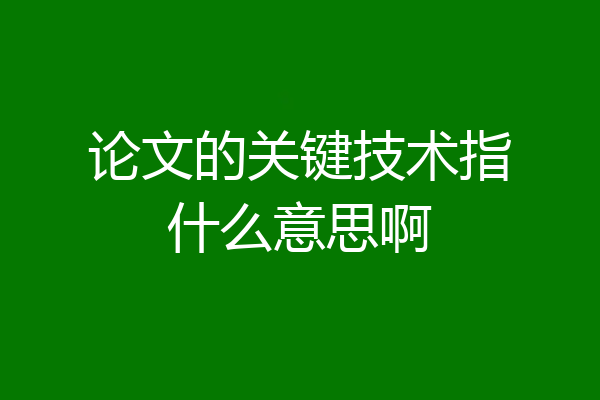 论文的关键技术指什么意思啊
