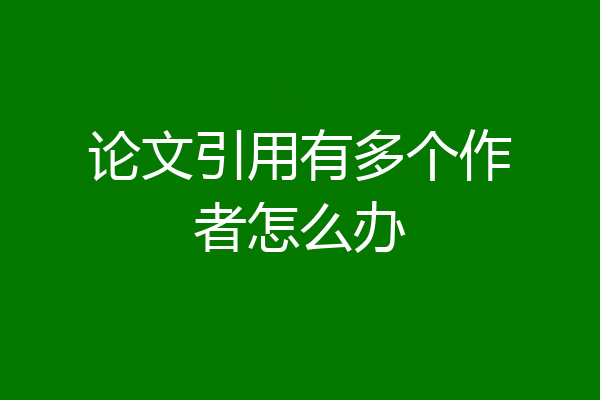 论文引用有多个作者怎么办