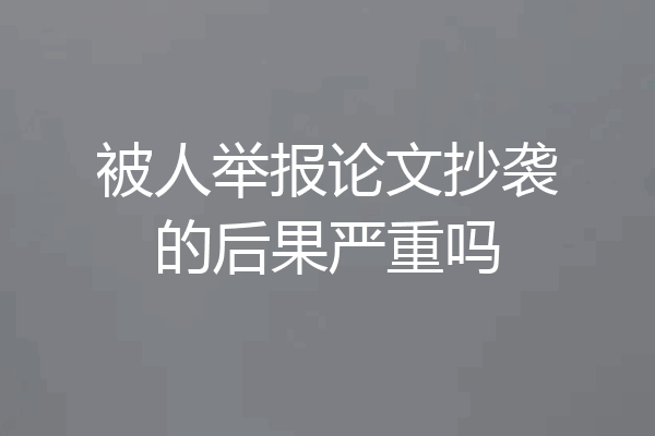 被人举报论文抄袭的后果严重吗