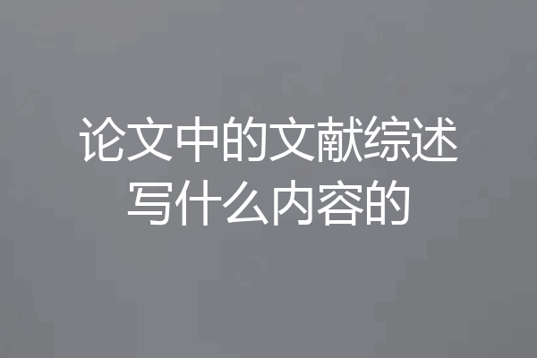 论文中的文献综述写什么内容的