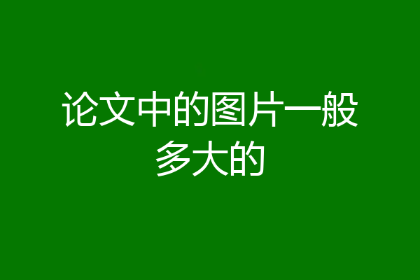 论文中的图片一般多大的