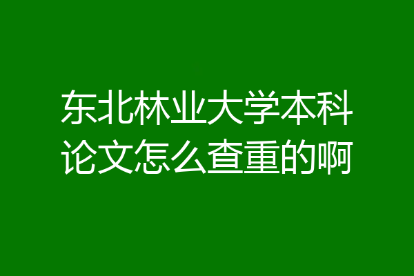 东北林业大学本科论文怎么查重的啊