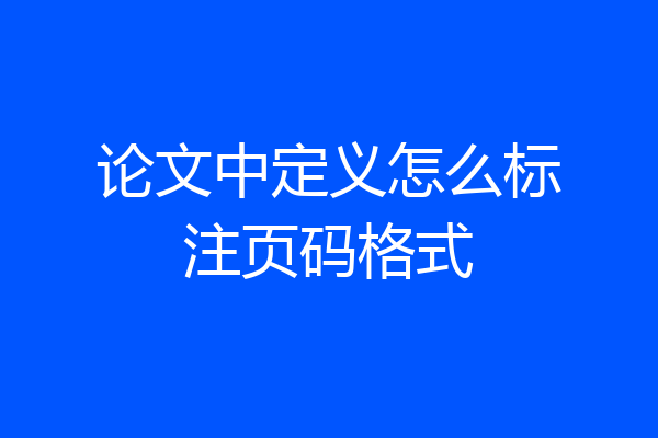 论文中定义怎么标注页码格式