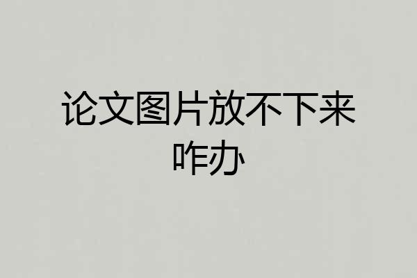 论文图片放不下来咋办