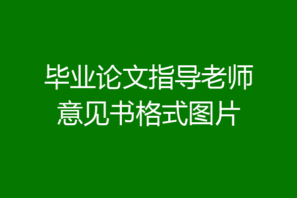 毕业论文指导老师意见书格式图片