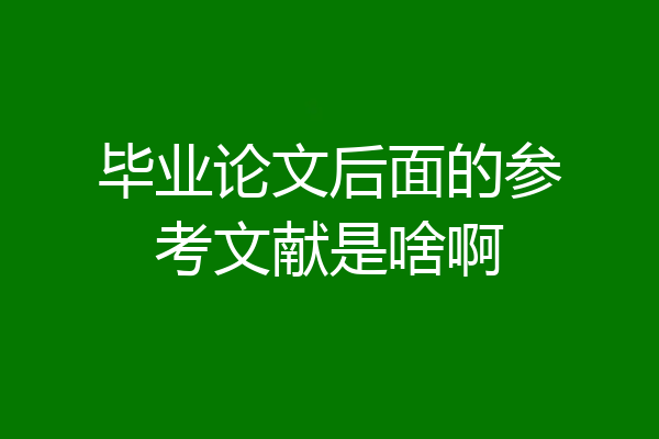毕业论文后面的参考文献是啥啊