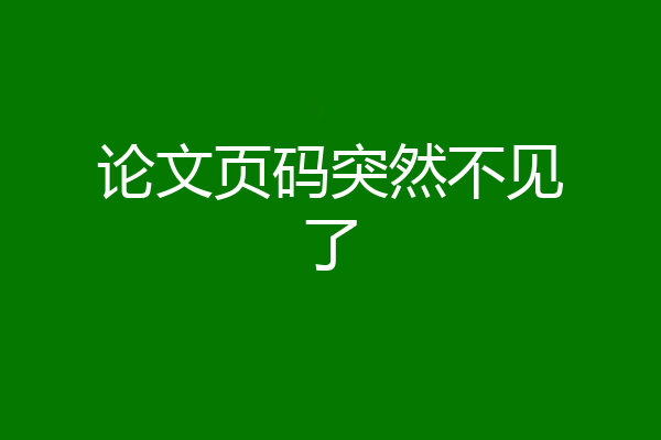 论文页码突然不见了