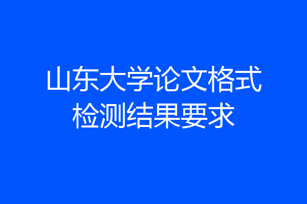 山东大学论文格式检测结果要求