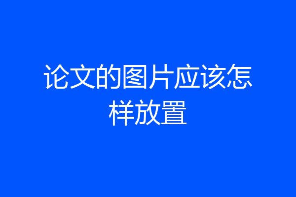 论文的图片应该怎样放置