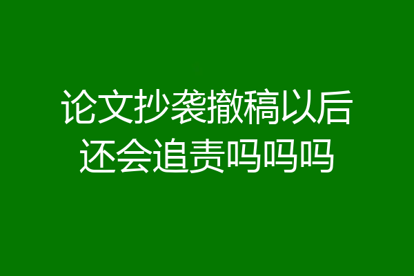 论文抄袭撤稿以后还会追责吗吗吗