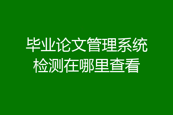 毕业论文管理系统检测在哪里查看