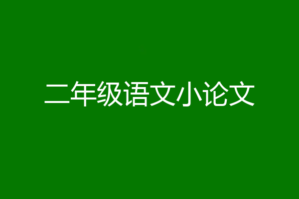 二年级语文小论文