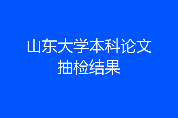 山东大学本科论文抽检结果