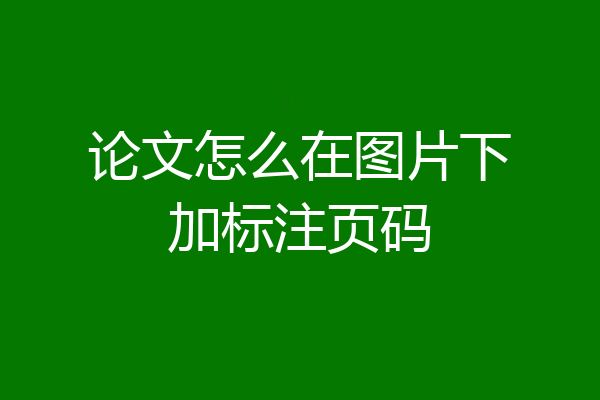 论文怎么在图片下加标注页码